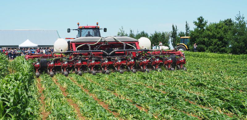 LF20190803-No-Till-6.jpg